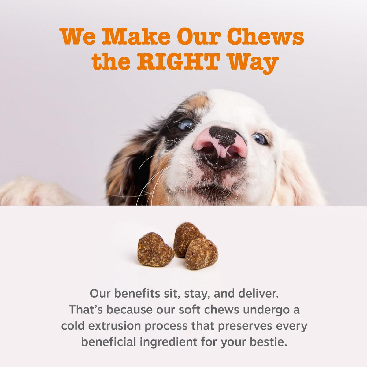 90 Count Dog Weight Management Supplement I23102