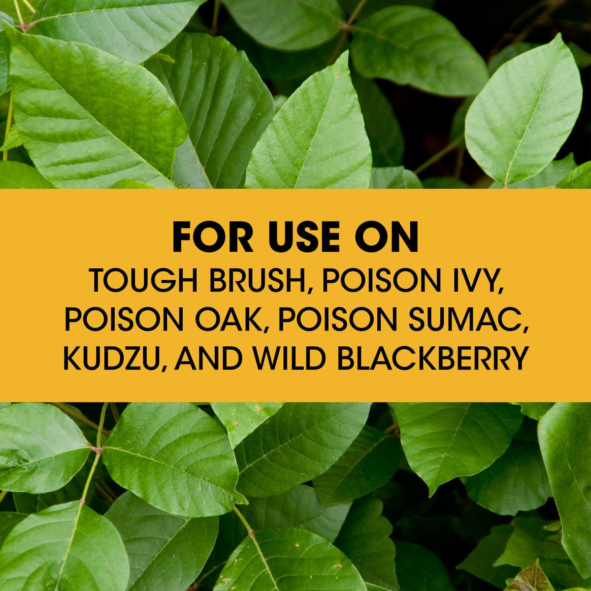 Concentrate Poison Ivy Killer Plus Brush Killer 32 oz Y23477
