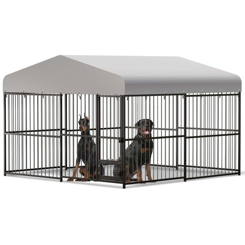 10x10x6 ft Heavy-Duty Outdoor Dog Kennel with Roof R9711