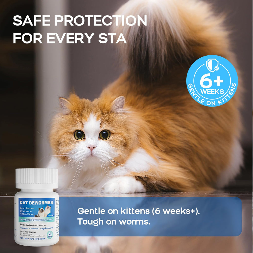 Cat Dewormer All Worms Broad Spectrum K9752