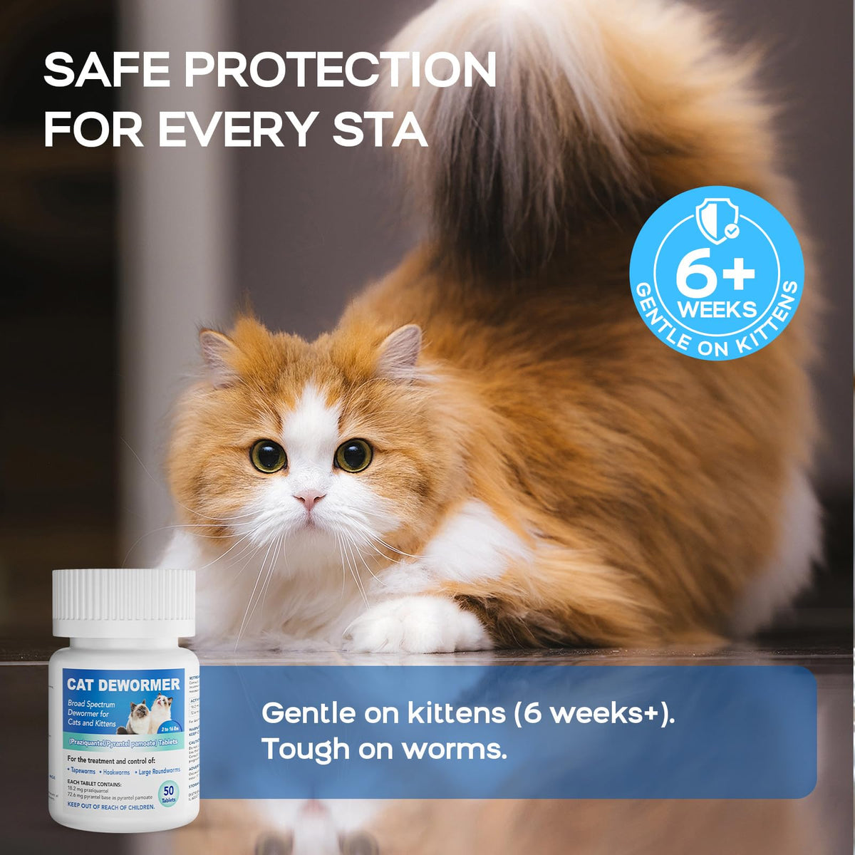 Cat Dewormer All Worms Broad Spectrum K9752
