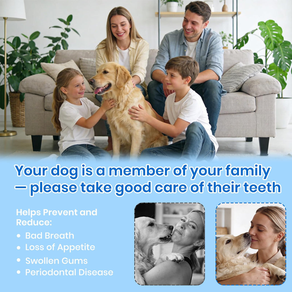 Dog Plaque Remover for Teeth with UV Sanitizing Chamber X198