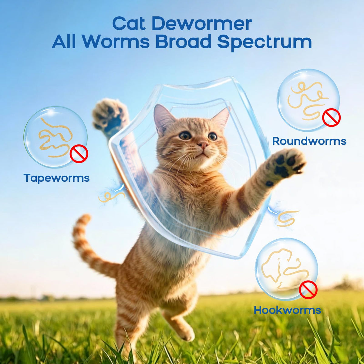 Cat Dewormer All Worms Broad Spectrum K9752