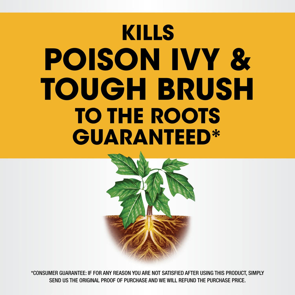 Concentrate Poison Ivy Killer Plus Brush Killer 32 oz Y23477