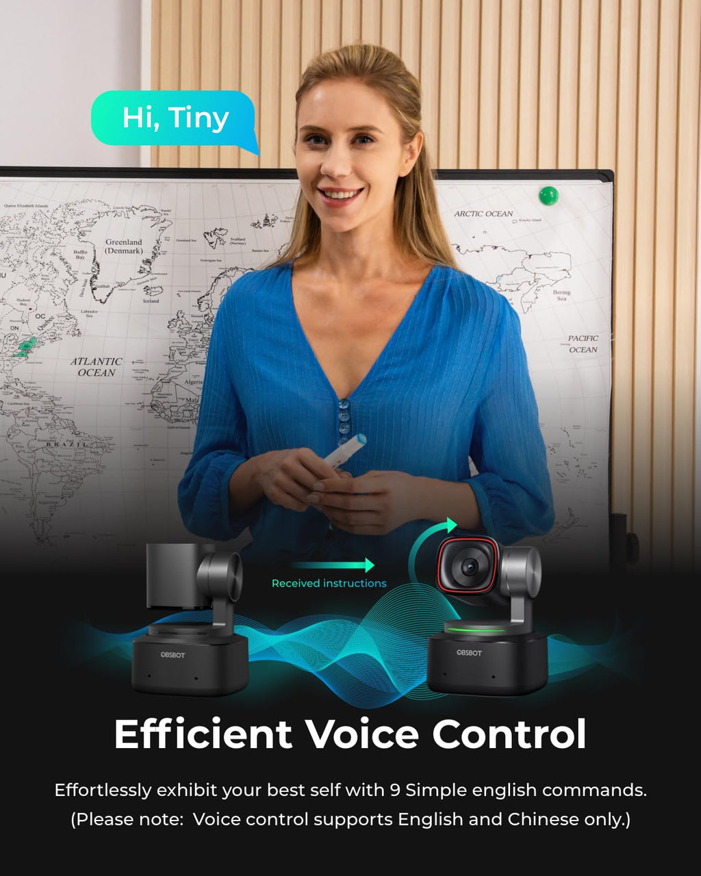 4K PTZ Webcam with Voice Control H2941