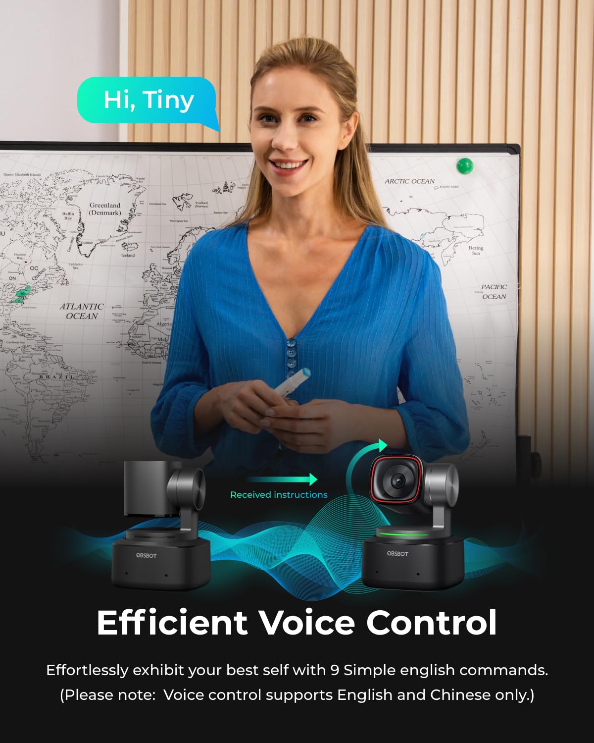 4K PTZ Webcam with Voice Control H2941