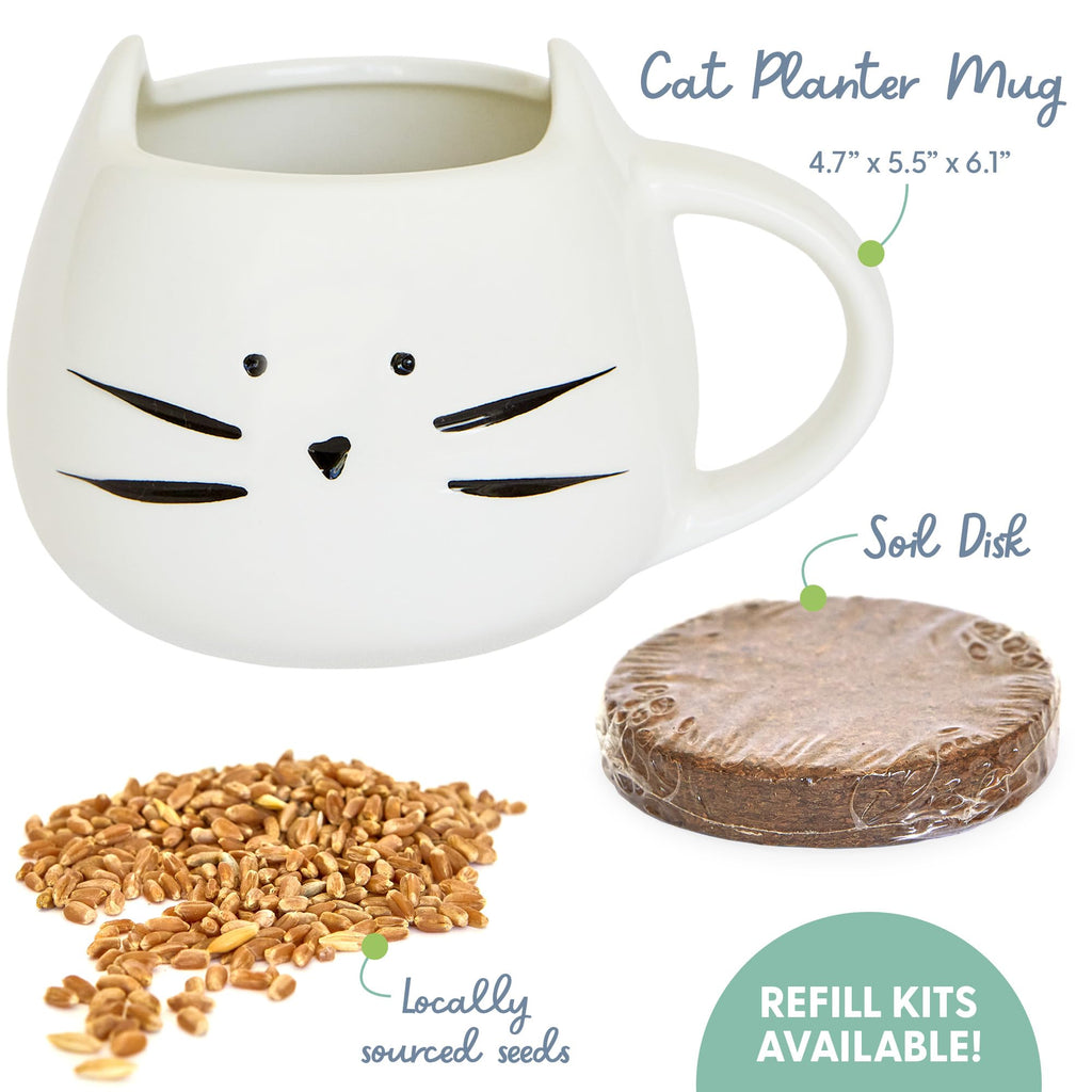 Organic Cat Grass Growing Kit with Seed Mix Soil and White Planter W573664
