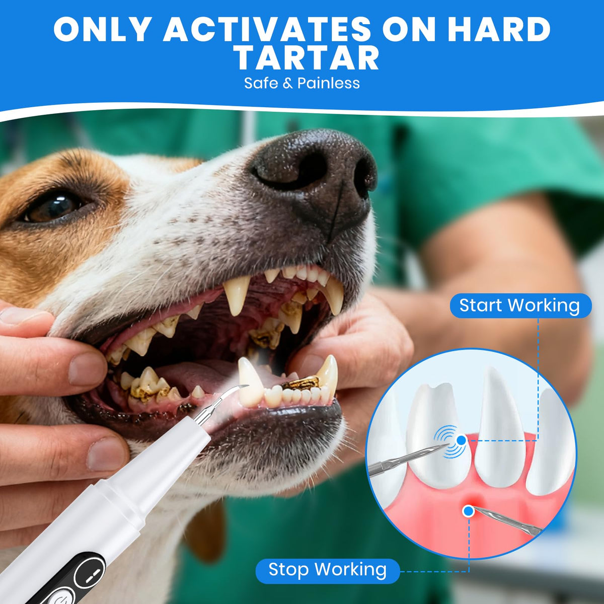 Dog Plaque Remover for Teeth with UV Sanitizing Chamber X198