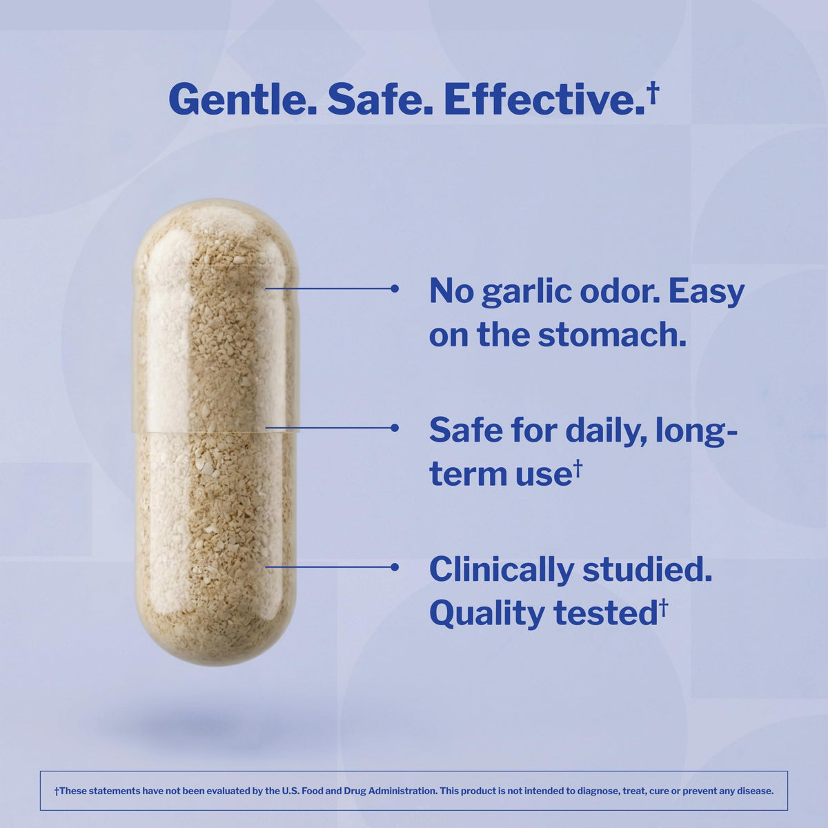 Aged Garlic Extract 300 Capsules V421