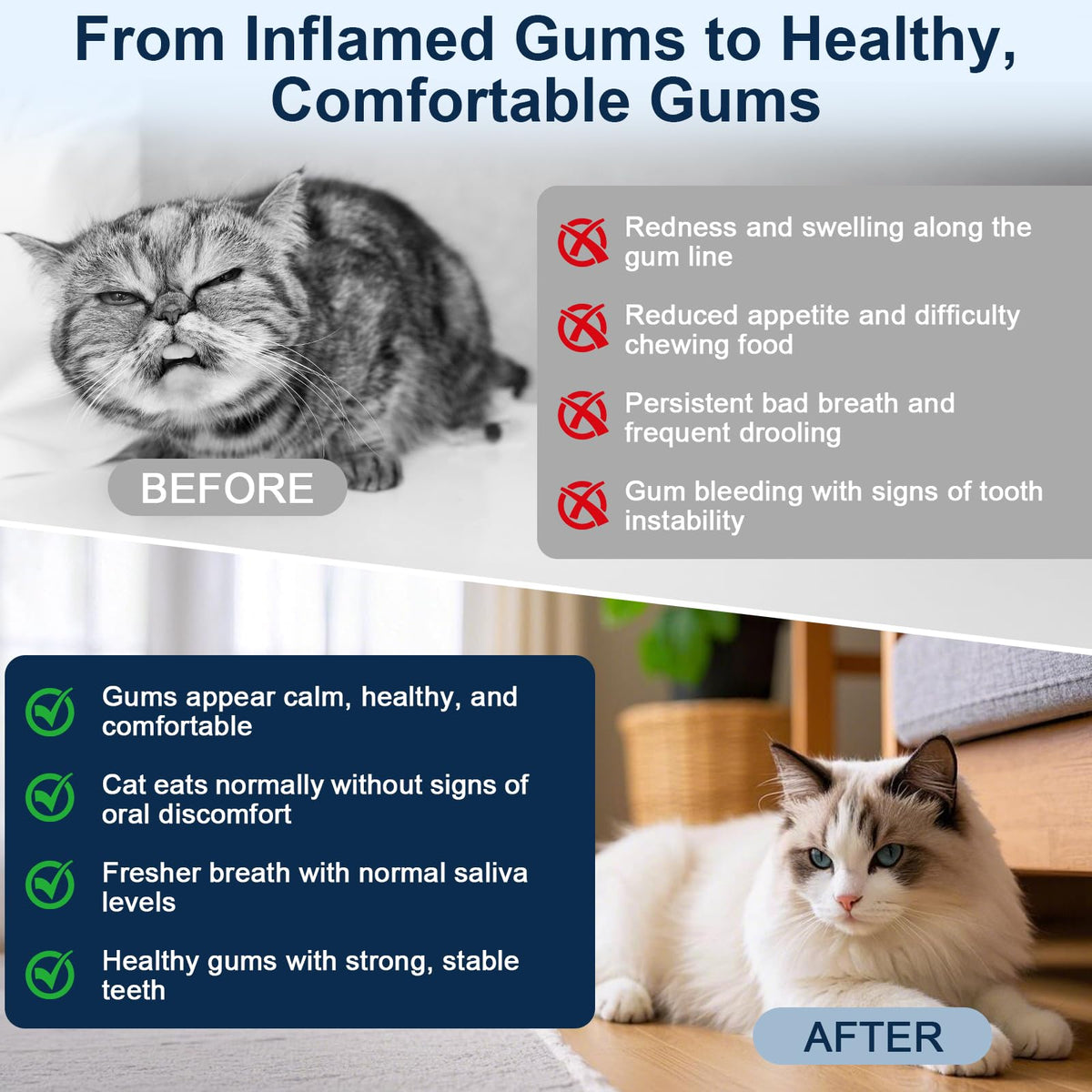Cat Oral Care P34708