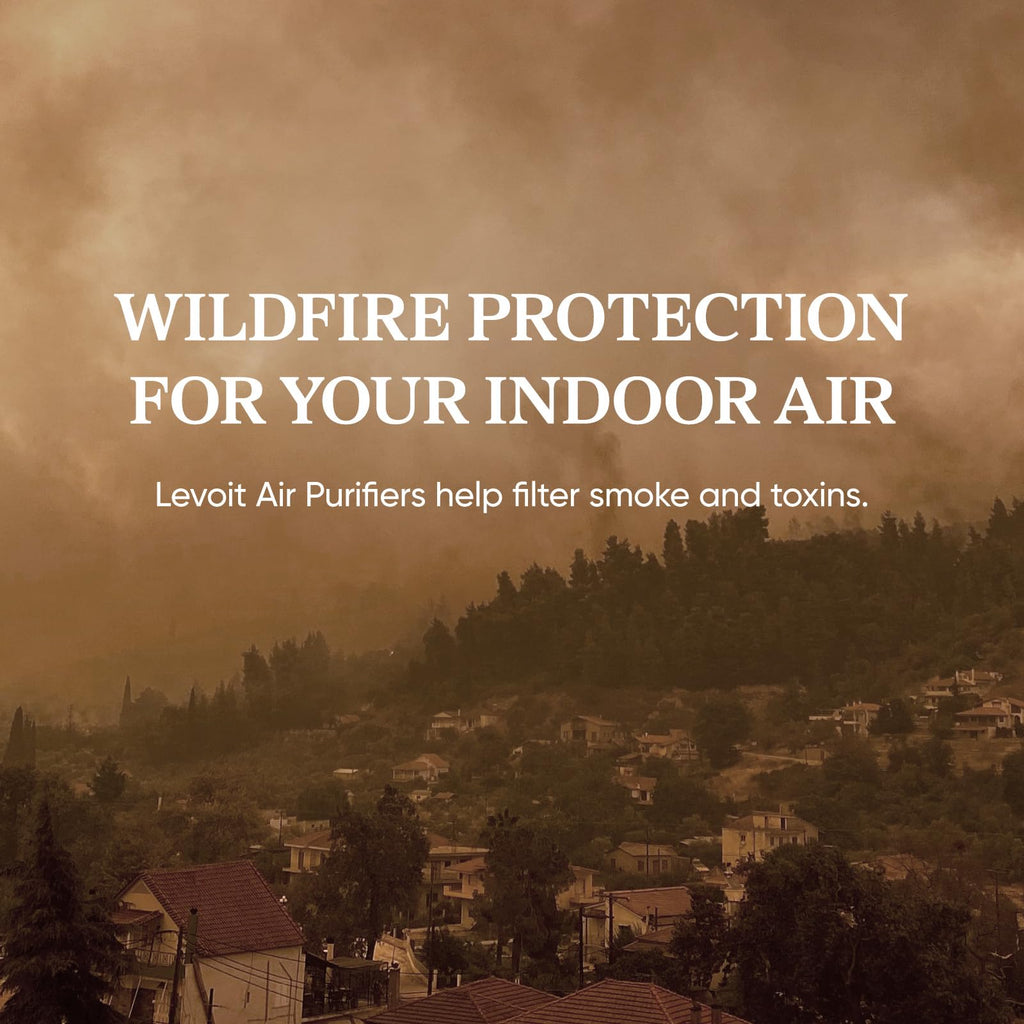 Air Purifier with Washable Pre-Filter T86312