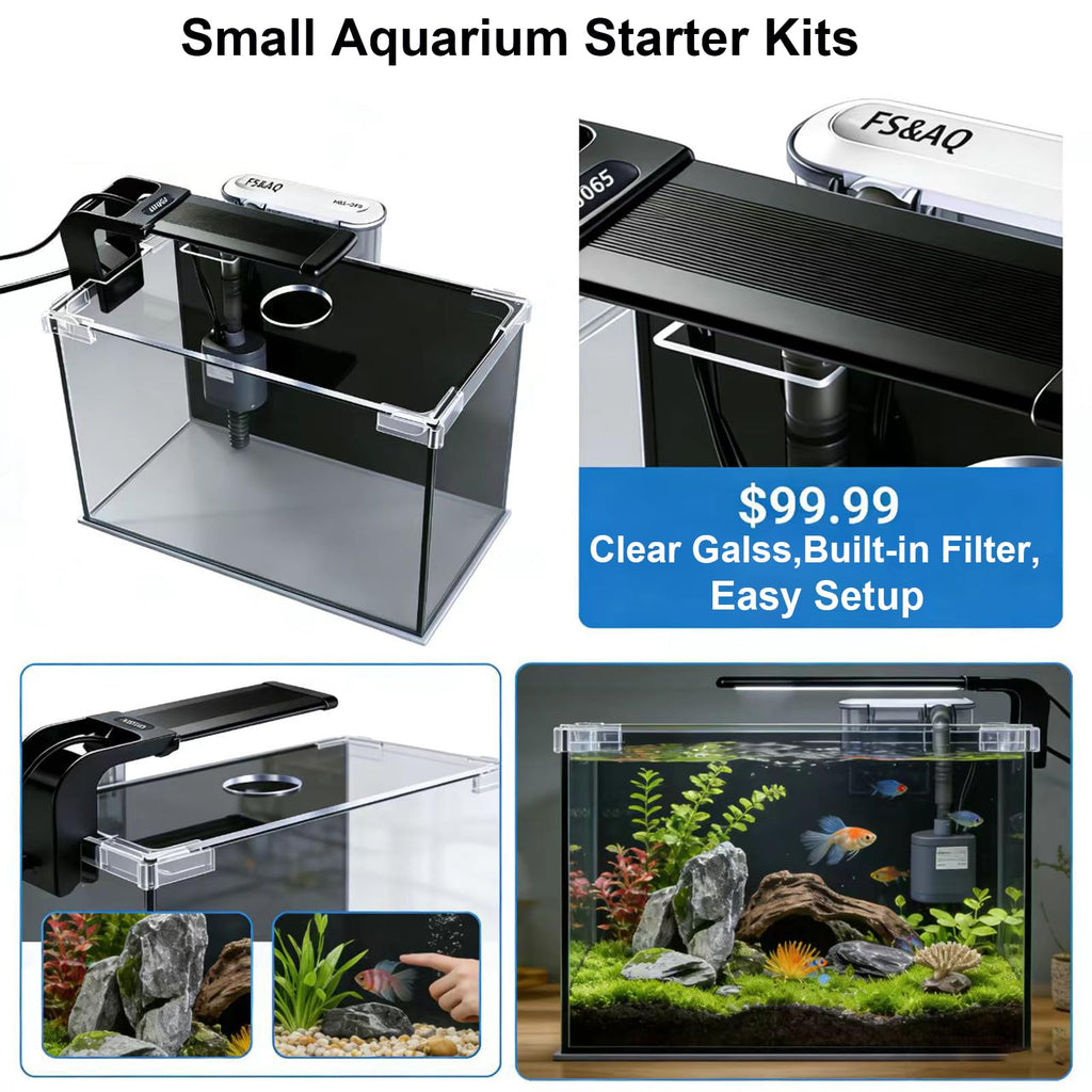 2.5 Gallon Betta Fish Tank with Filter Light and Lid P6874