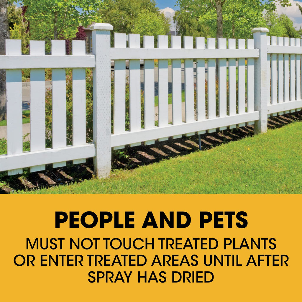 Concentrate Poison Ivy Killer Plus Brush Killer 32 oz Y23477