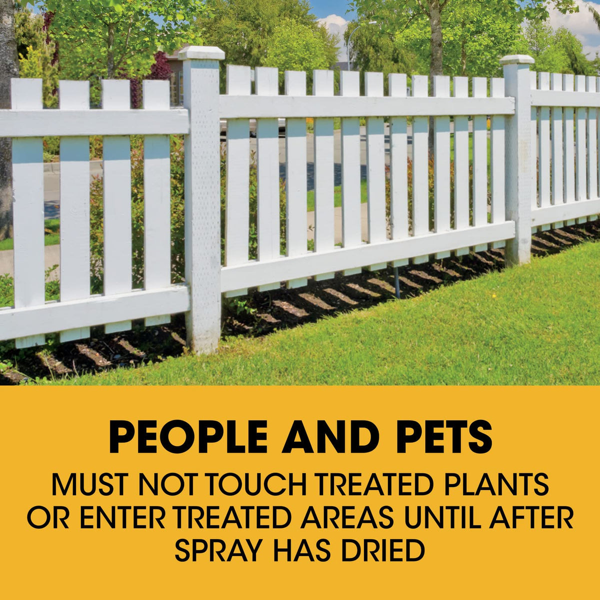 Concentrate Poison Ivy Killer Plus Brush Killer 32 oz Y23477