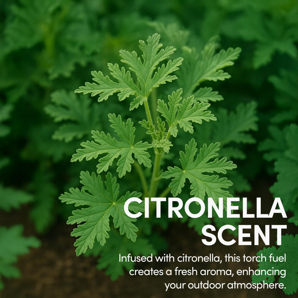 Citronella Torch Fuel 1 Gallon Pack of 2 X549240