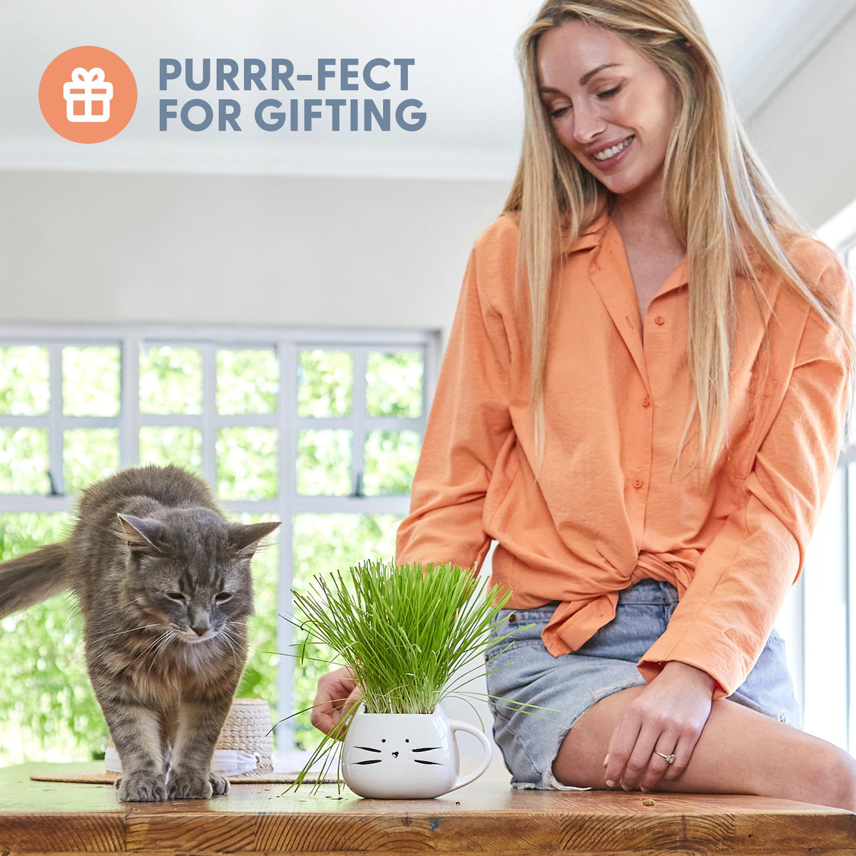 Organic Cat Grass Growing Kit with Seed Mix Soil and White Planter W573664