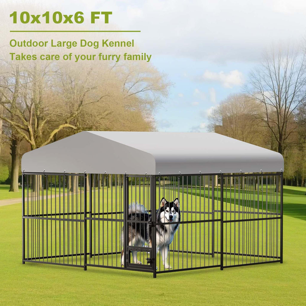 10x10x6 ft Heavy-Duty Outdoor Dog Kennel with Roof R9711