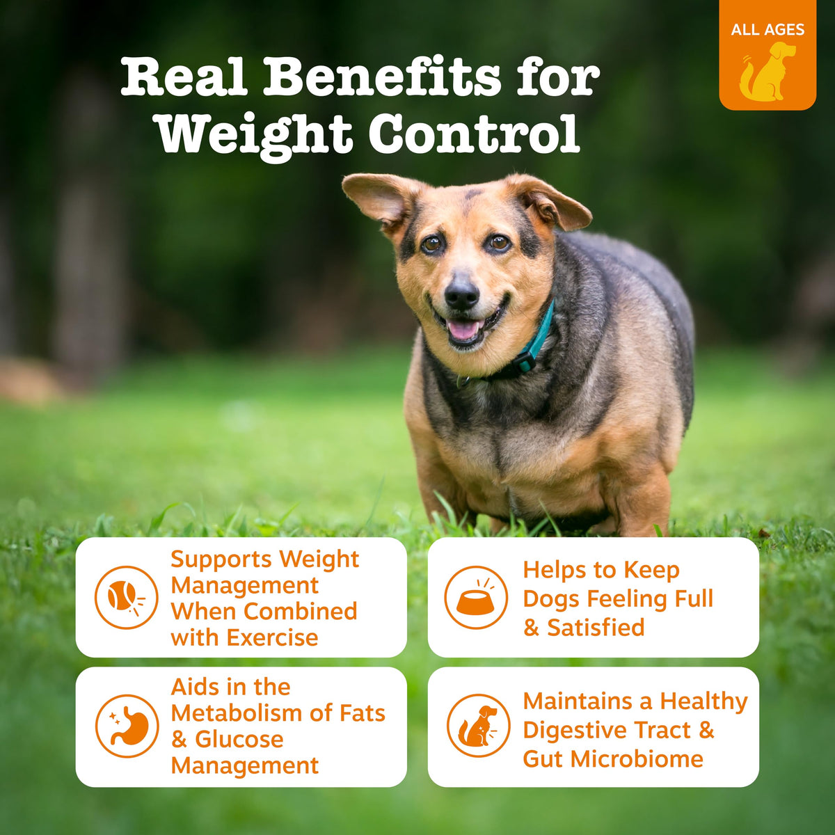 90 Count Dog Weight Management Supplement I23102
