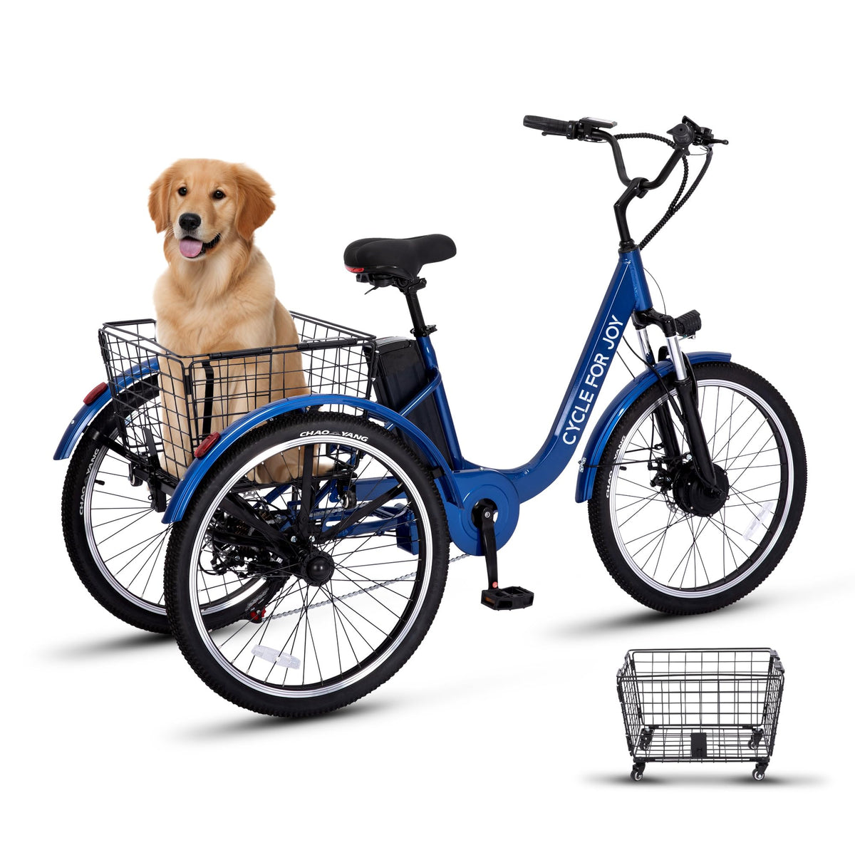 3 Wheel Electric Bike M833262
