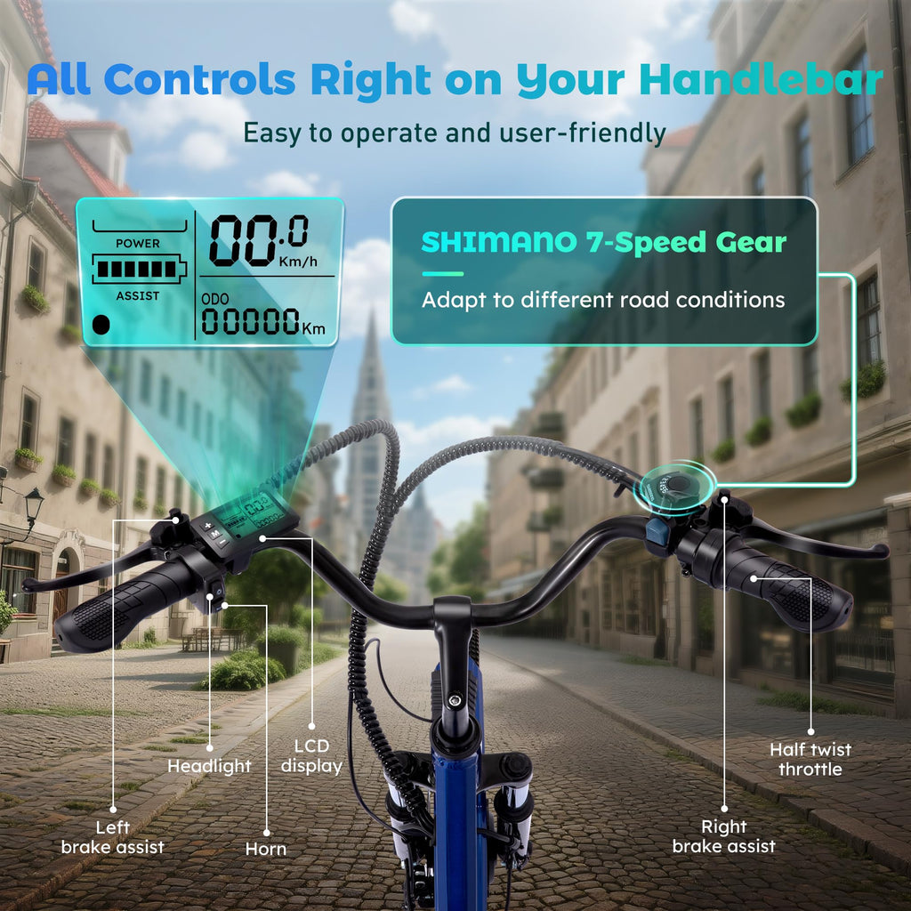 3 Wheel Electric Bike M833262