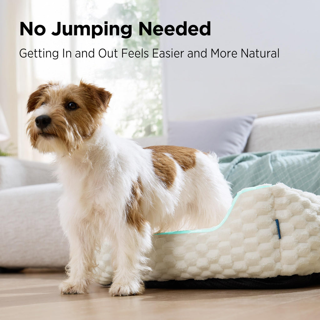 Washable Fluffy Dog Bed S350495