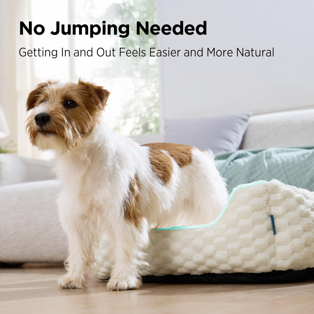 Washable Fluffy Dog Bed S350495