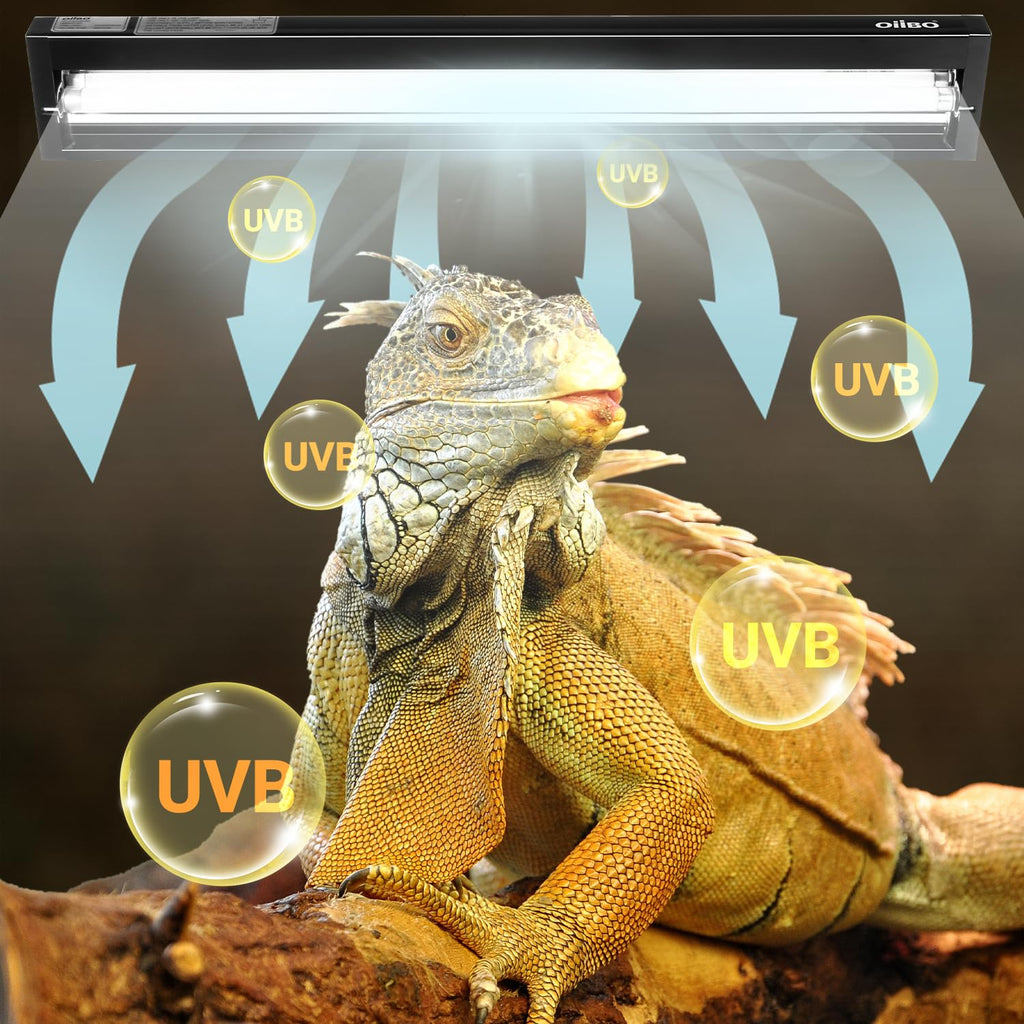 24W UVB 10.0 Reptile Light Fixture Combo Kit W8401