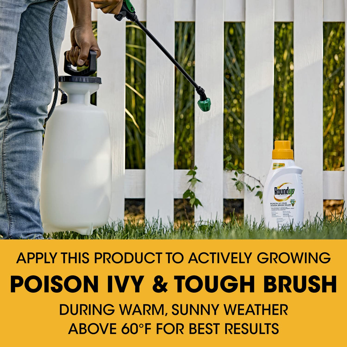 Concentrate Poison Ivy Killer Plus Brush Killer 32 oz Y23477