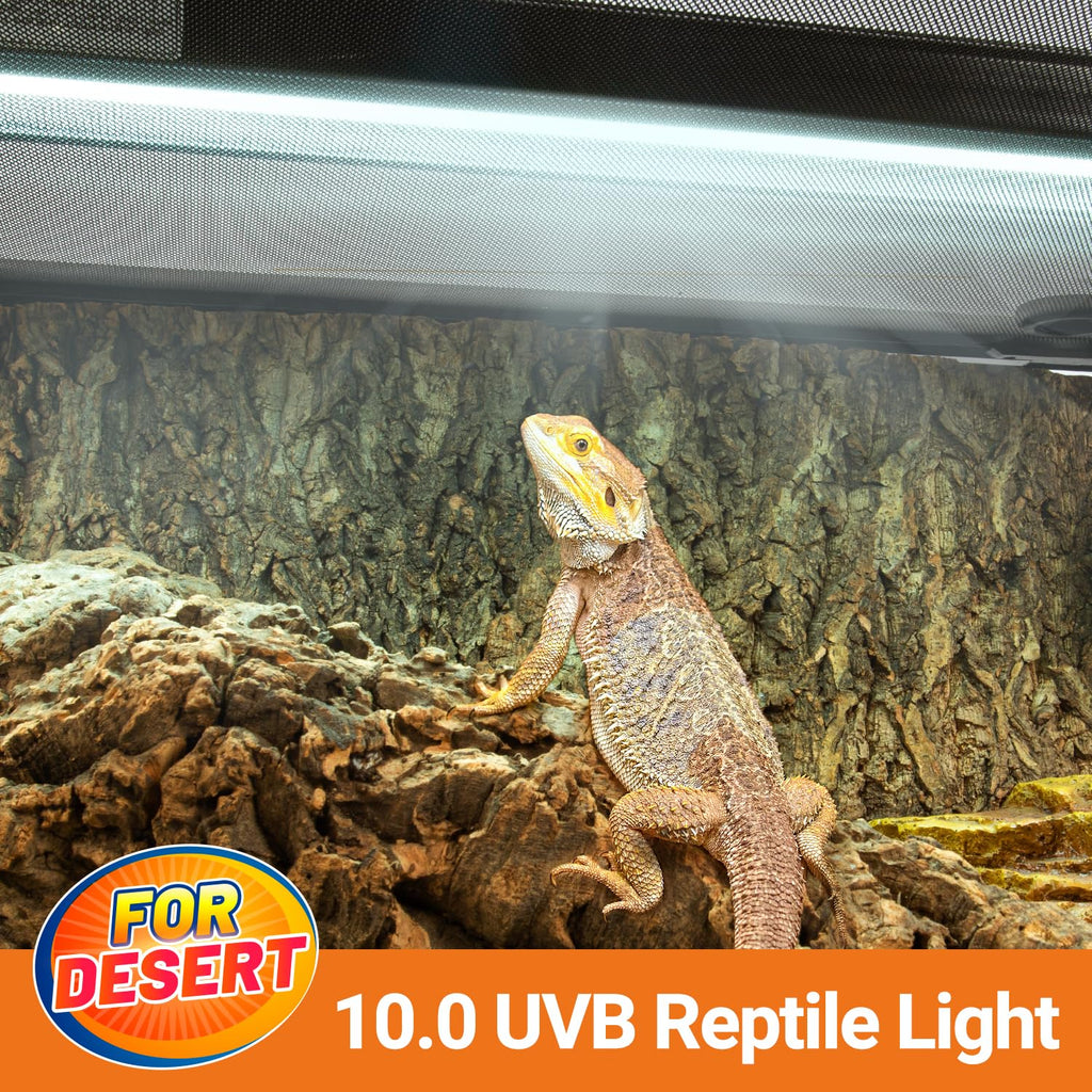 24W UVB 10.0 Reptile Light Fixture Combo Kit W8401