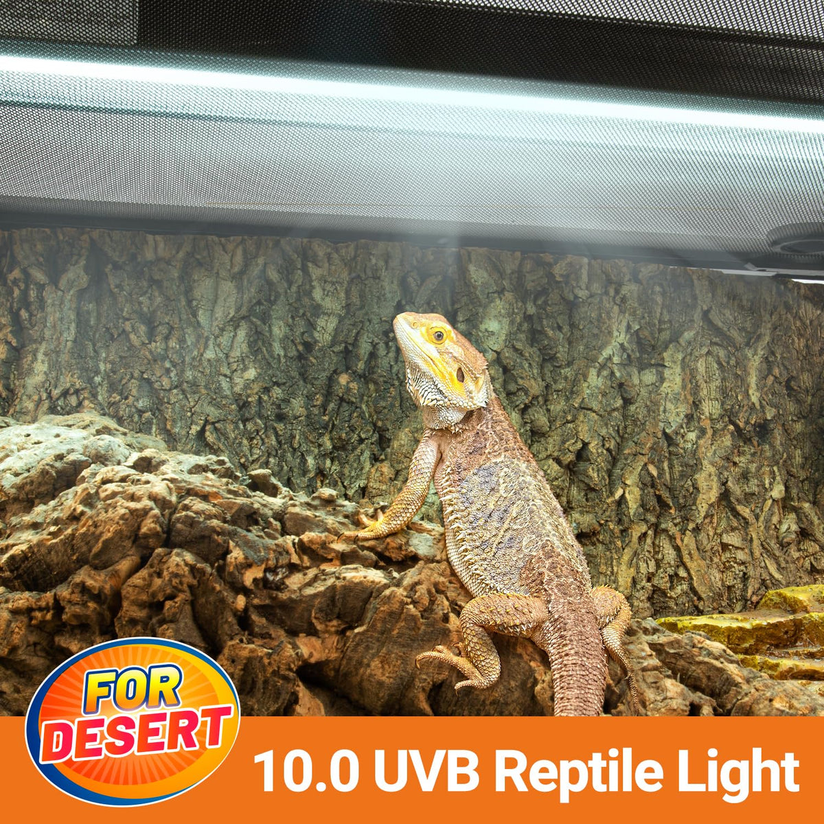 24W UVB 10.0 Reptile Light Fixture Combo Kit W8401