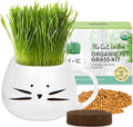 Organic Cat Grass Growing Kit with Seed Mix Soil and White Planter W573664