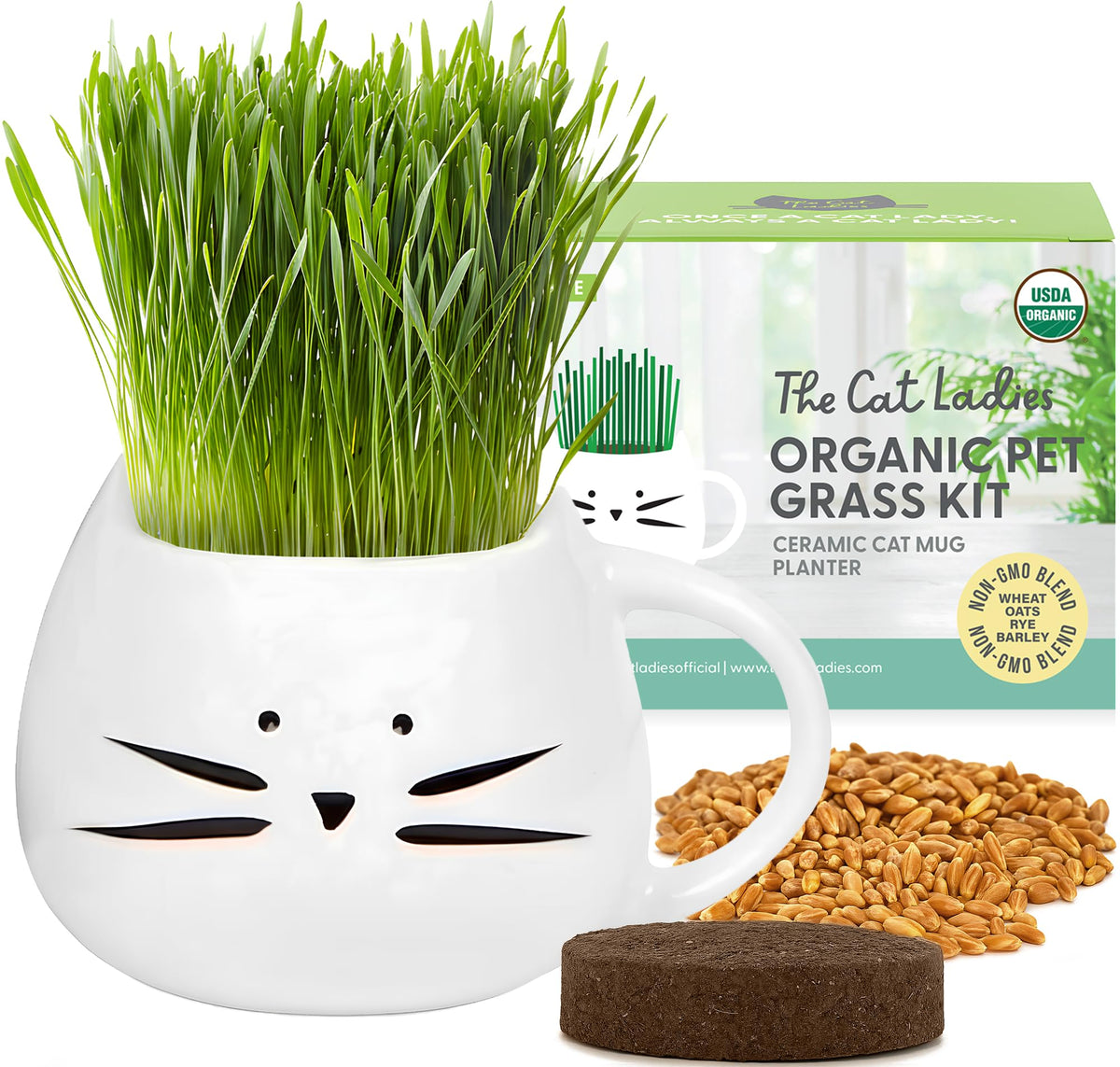 Organic Cat Grass Growing Kit with Seed Mix Soil and White Planter W573664