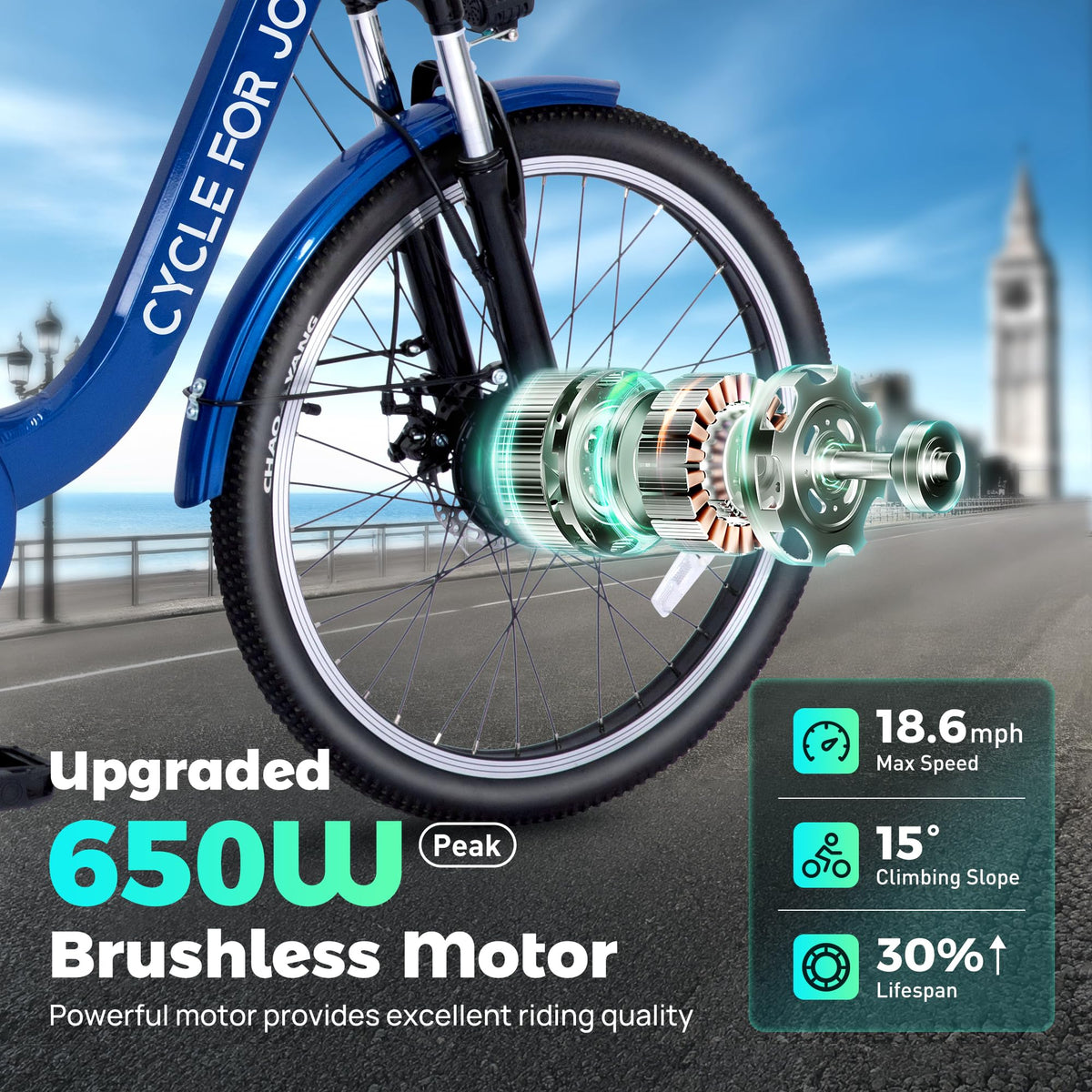 3 Wheel Electric Bike M833262
