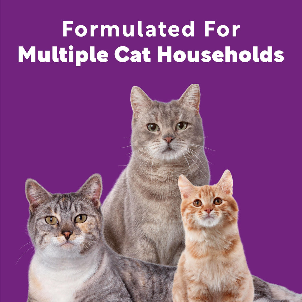 Multi Cat Litter Meadow Fresh Scent 14 lb S6660