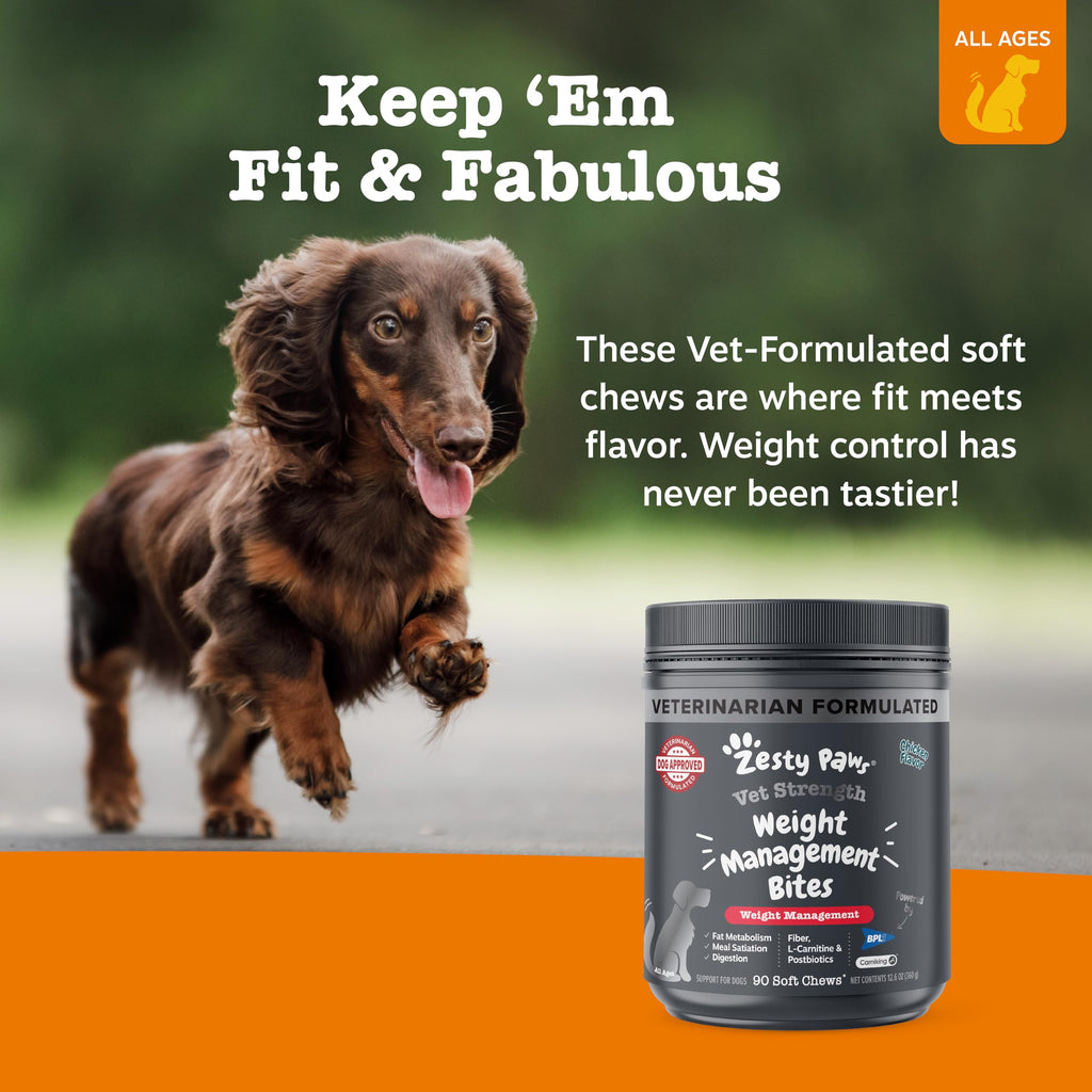 90 Count Dog Weight Management Supplement I23102