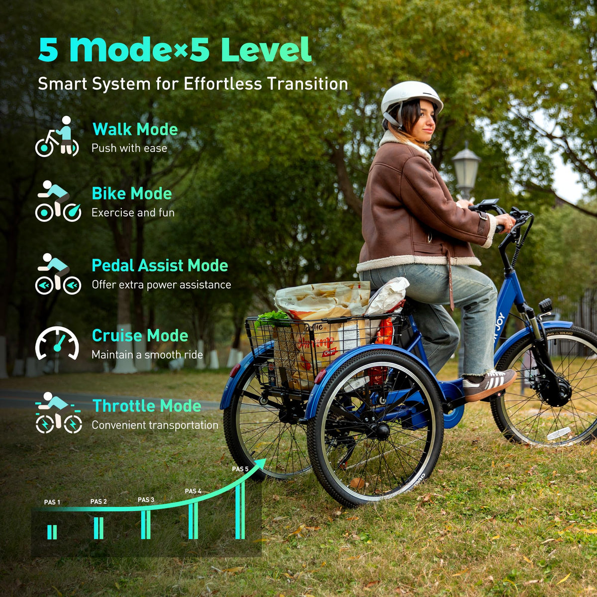 3 Wheel Electric Bike M833262